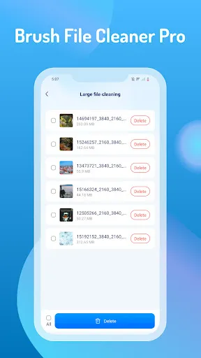 Brush File Cleaner Pro screenshot