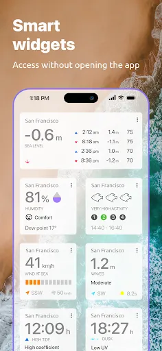 Nautide: Tides, Wind, Waves + screenshot