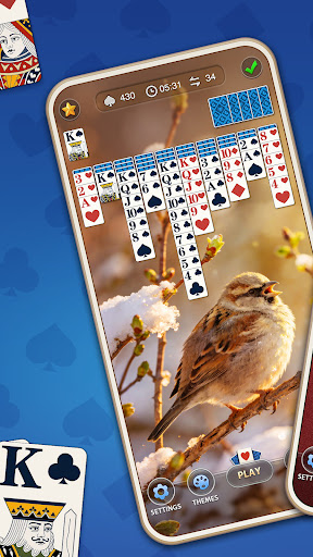 Daily Spider Solitaire Classic screenshot