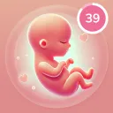 Pregnancy Tracker and Baby App