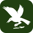 Camp Raven Knob Passport