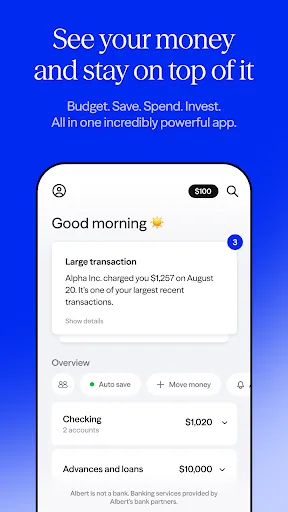 Albert: Budgeting and Banking screenshot