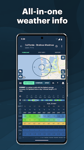 Windy.app - Enhanced forecast screenshot