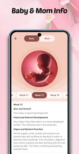 Pregnancy Tracker: Baby Growth screenshot