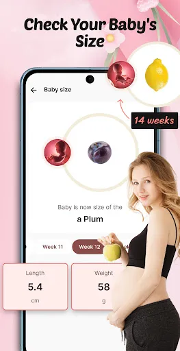 Pregnancy Tracker: Baby Growth screenshot