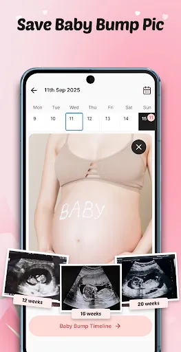 Pregnancy Tracker: Baby Growth screenshot