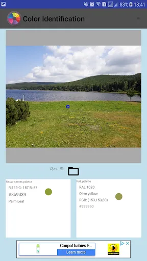 Color Identification screenshot