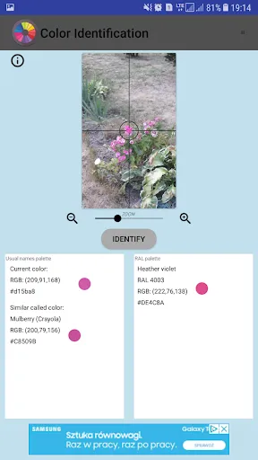 Color Identification screenshot