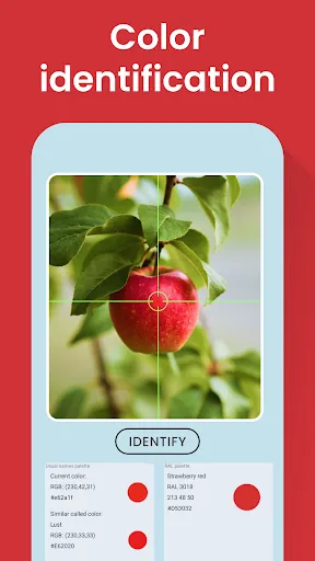 Color Identification screenshot