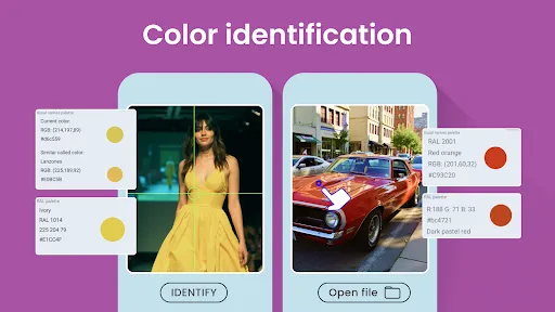 Color Identification screenshot