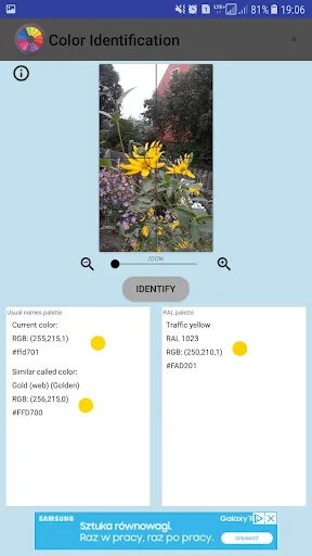 Color Identification screenshot