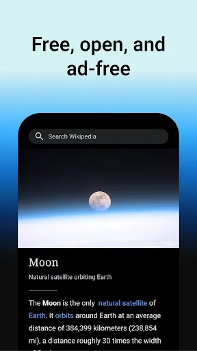 Wikipedia screenshot