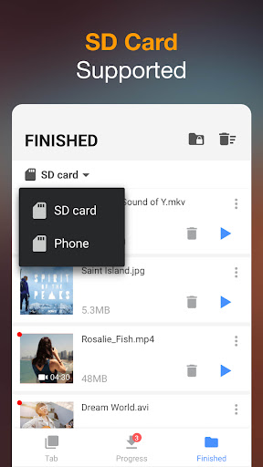 Video Downloader screenshot
