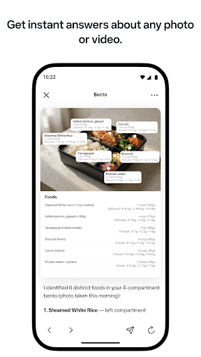 Meta AI - Assistant & Glasses screenshot