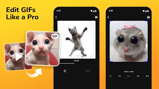 GIF Maker, Video to GIF Editor screenshot