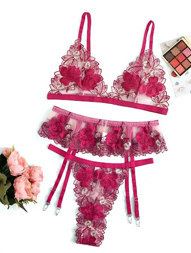 Bras and Panties screenshot