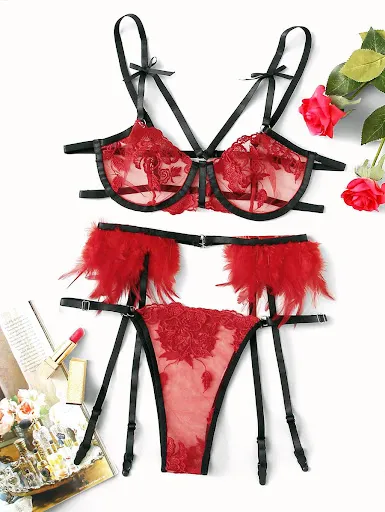 Bras and Panties screenshot
