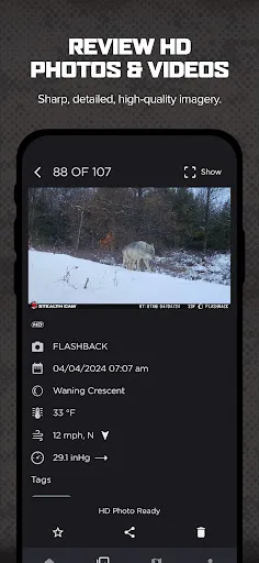 Command screenshot