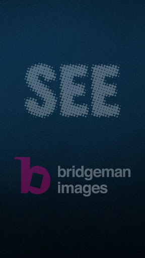 SEE's Michelangelo's Sistine screenshot