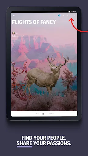 Flipboard:Your Social Magazine screenshot