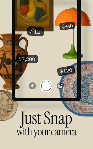 Antique Identifier Zophi screenshot