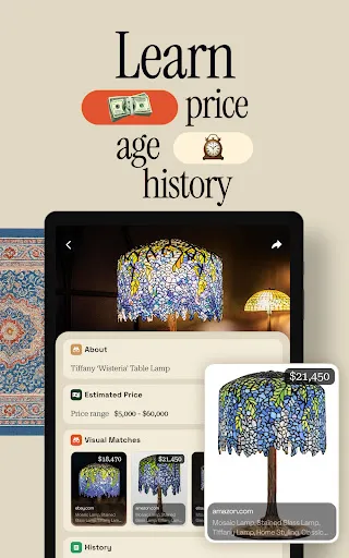 Antique Identifier Zophi screenshot