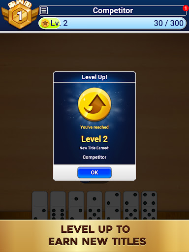 Dominoes: Classic Dominos Game screenshot