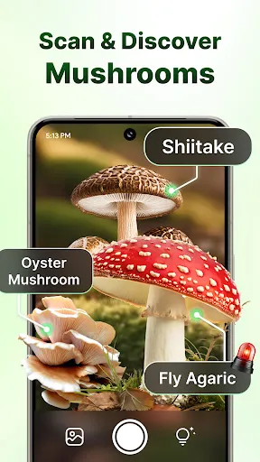 LeafCheck: Plant Identifier screenshot