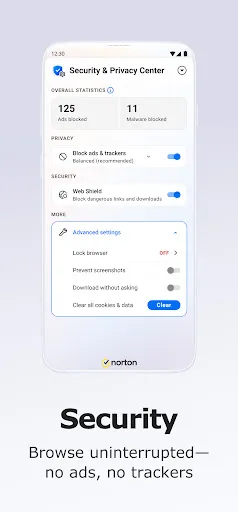 Norton Private Browser screenshot