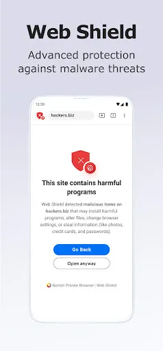 Norton Private Browser screenshot