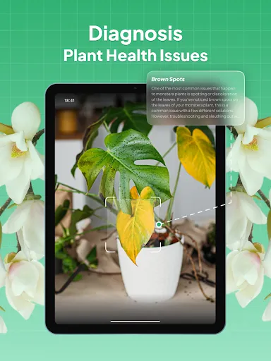 Plant Identifier: LeafSnap screenshot