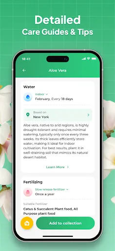 Plant Identifier: LeafSnap screenshot