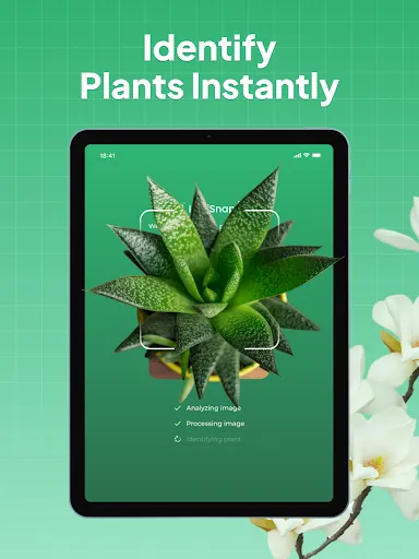 Plant Identifier: LeafSnap screenshot