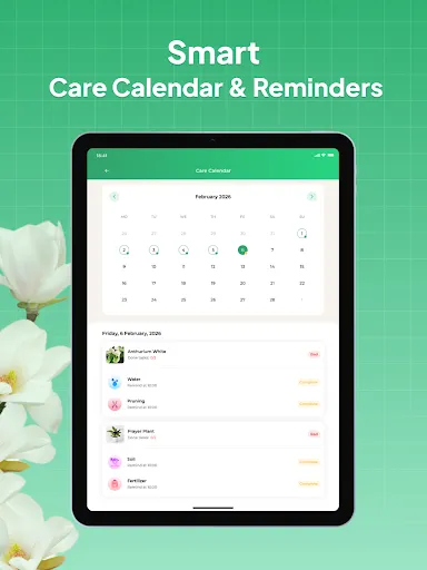 Plant Identifier: LeafSnap screenshot