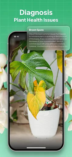 Plant Identifier: LeafSnap screenshot