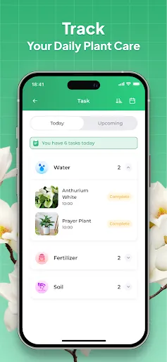 Plant Identifier: LeafSnap screenshot