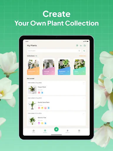 Plant Identifier: LeafSnap screenshot
