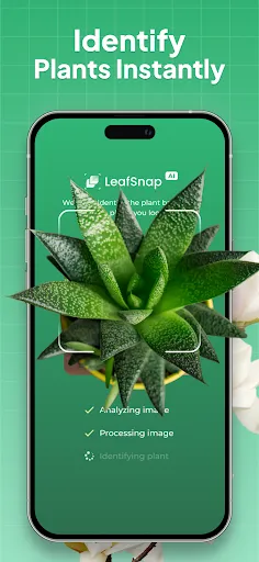 Plant Identifier: LeafSnap screenshot