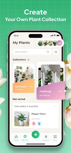 Plant Identifier: LeafSnap screenshot