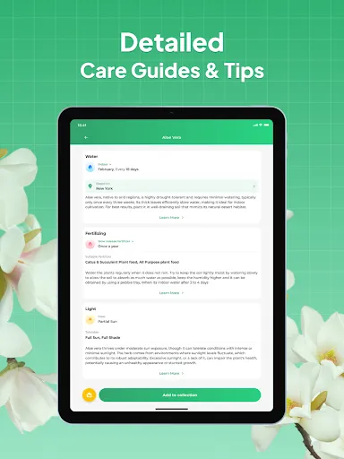 Plant Identifier: LeafSnap screenshot