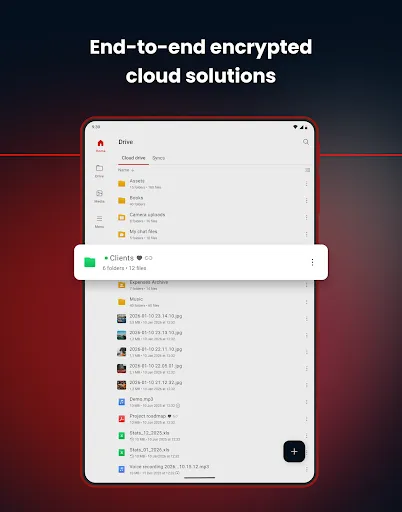 MEGA screenshot