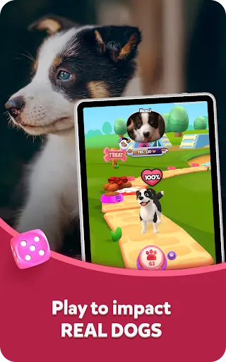 TREAT: Play & impact REAL dogs screenshot