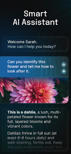 AI Chatbot - Nova screenshot