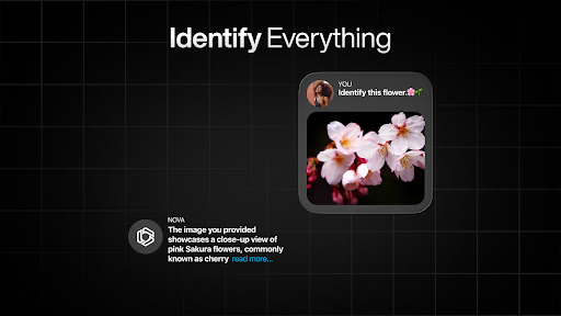 AI Chatbot - Nova screenshot