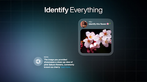 AI Chatbot - Nova screenshot