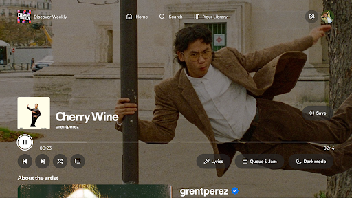 Spotify: Music & Podcasts screenshot
