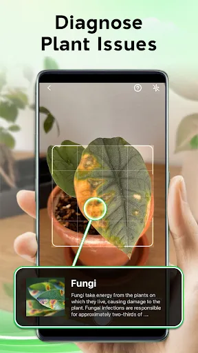 Plant Identifier - Plant Care screenshot