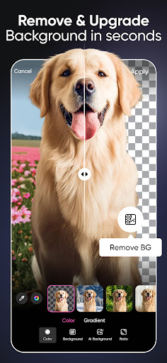 Picsart AI Photo Editor, Video screenshot