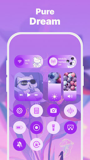 Control Widget: Theme & Panels screenshot