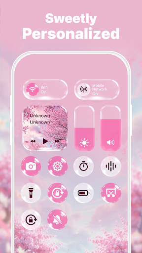 Control Widget: Theme & Panels screenshot